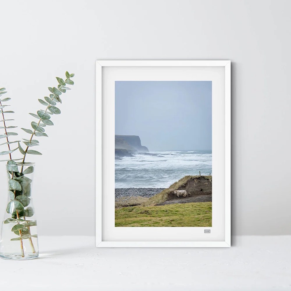 Siar Photography - Finding Shelter, A4
