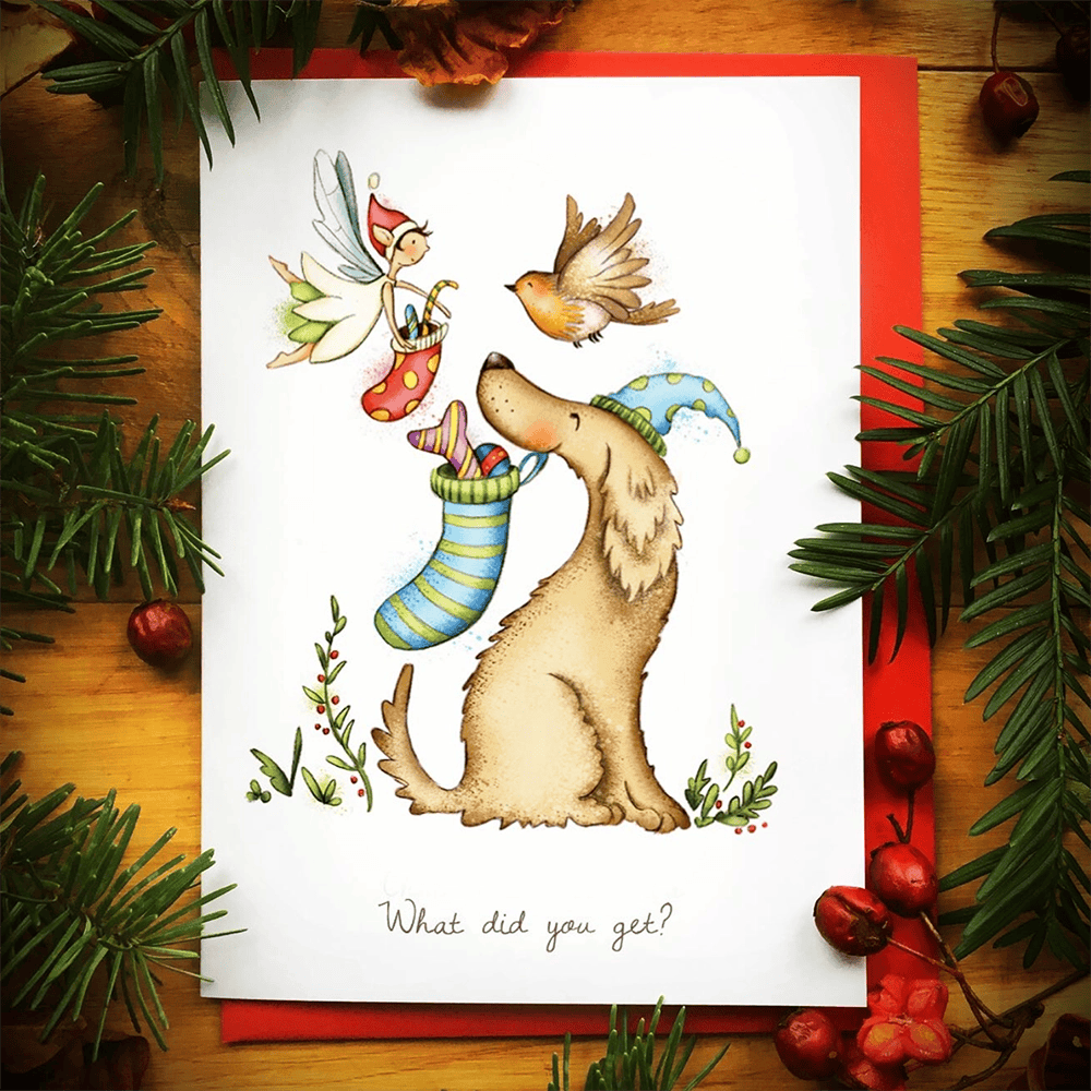 Christmas cards - Burren Flower Fairies - What did you get?