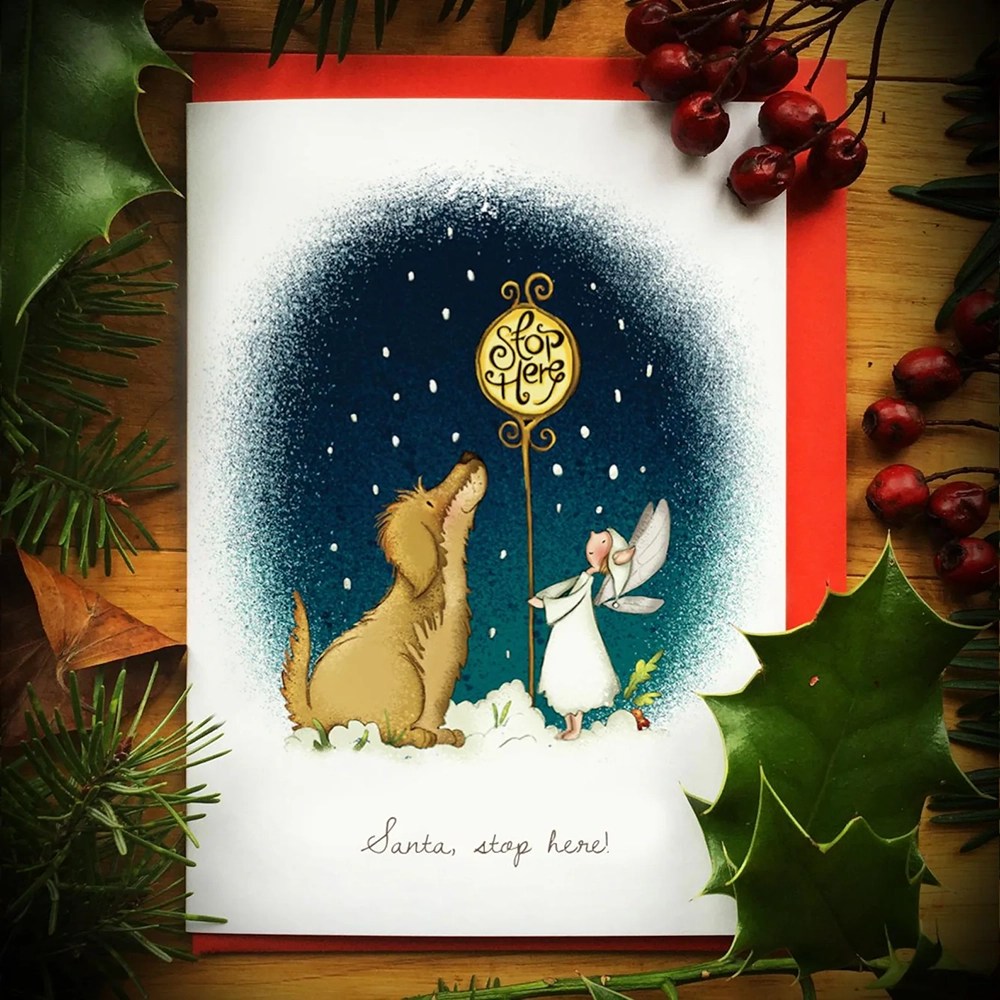 Christmas cards - Burren Flower Fairies - Santa stop here