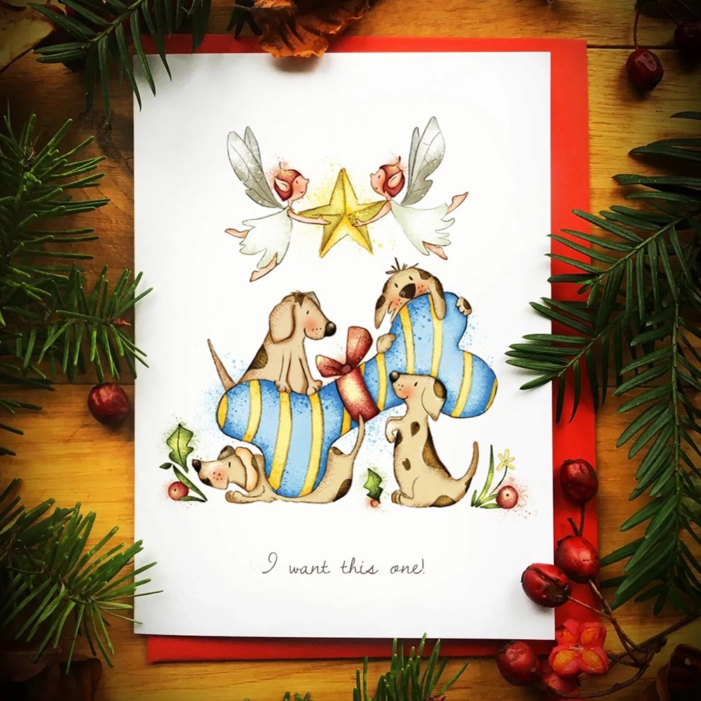 Christmas cards - Burren Flower Fairies - I want this one