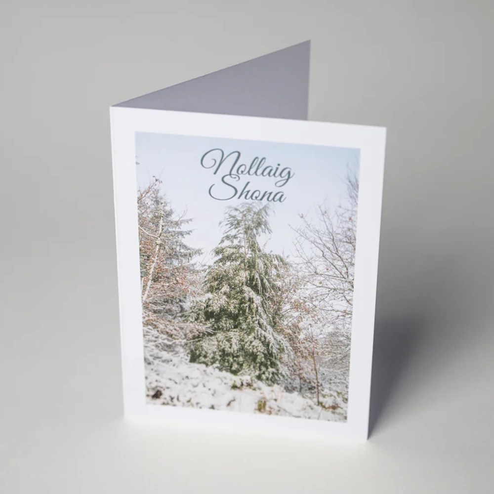 Christmas card - Snowy Forest Siar Photography