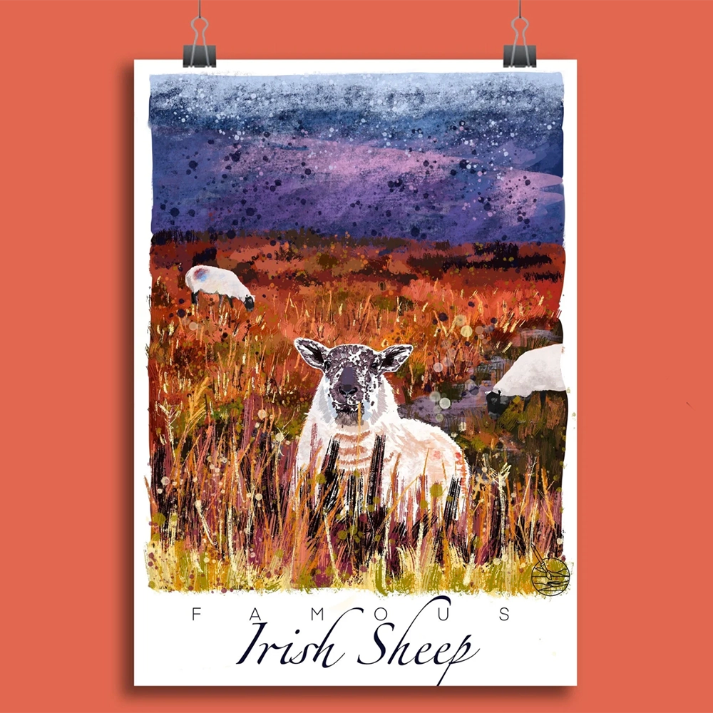 Irish Sheep Print Explore with Marion