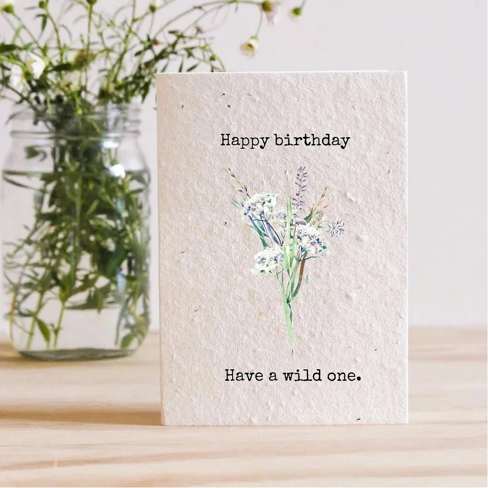 Happy Birthday Have a Wild One Plantable Card Love Ireland