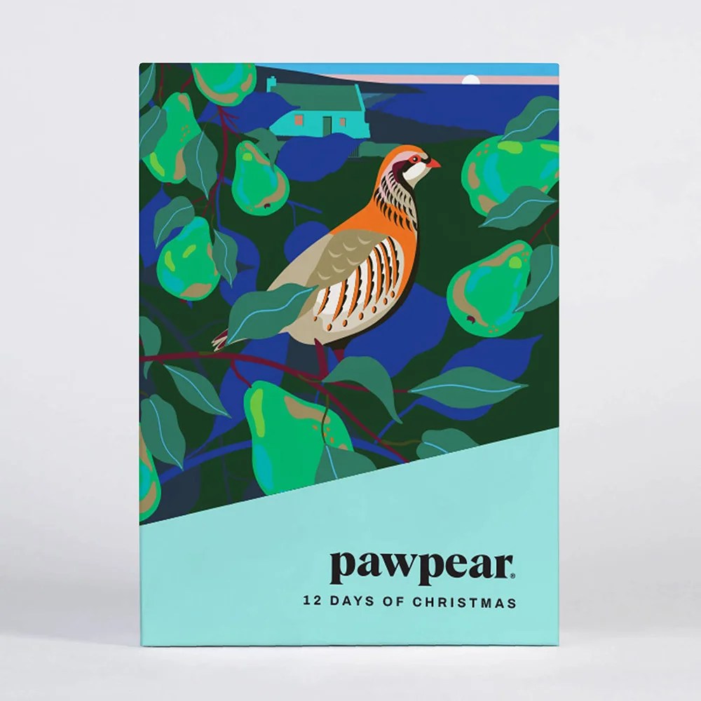 12 Days of Christmas Card Box - Pawpear