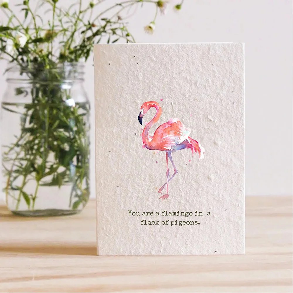 Flamingo in a Flock of Pigeons Plantable Card Love Ireland