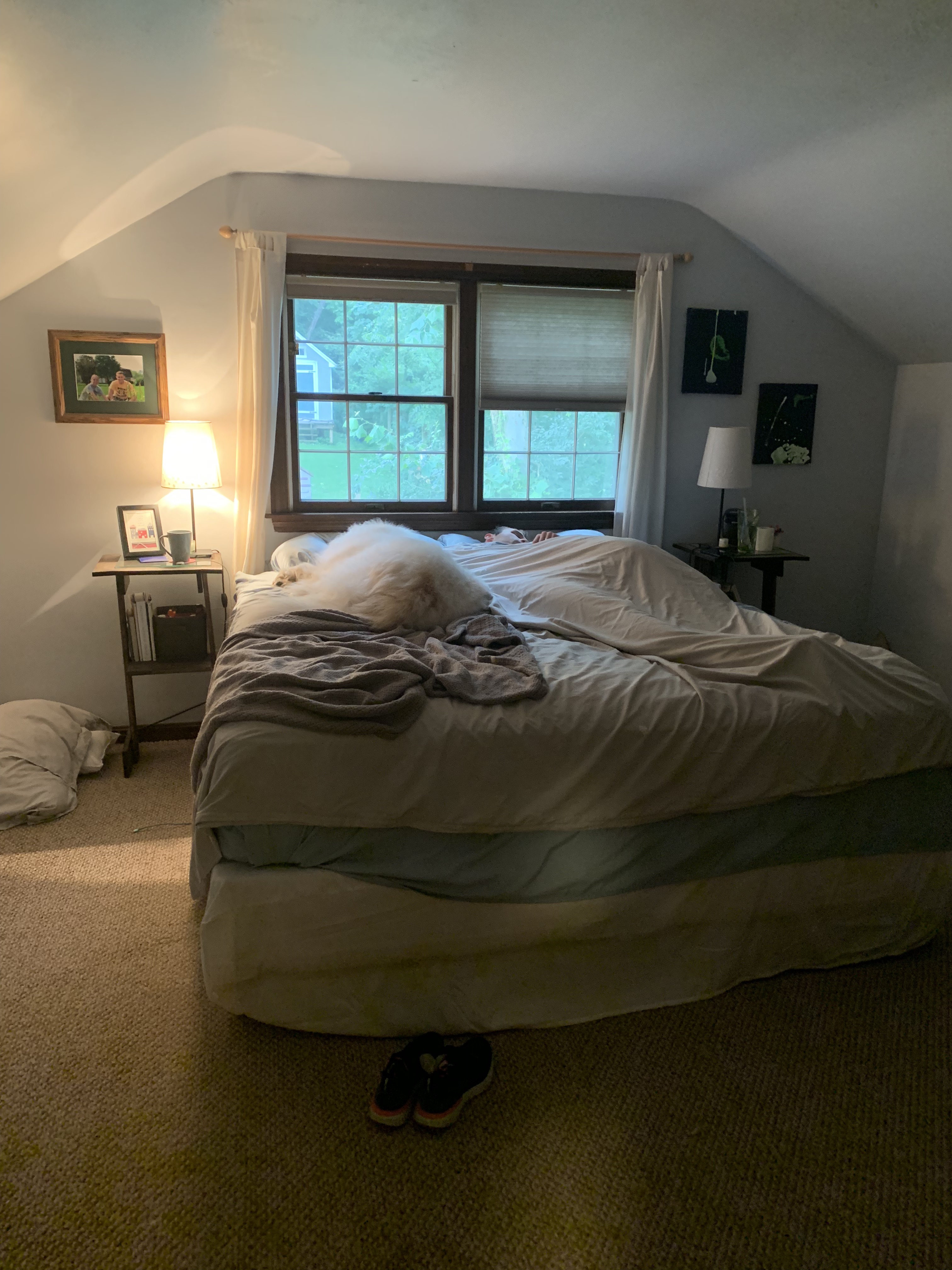 48B