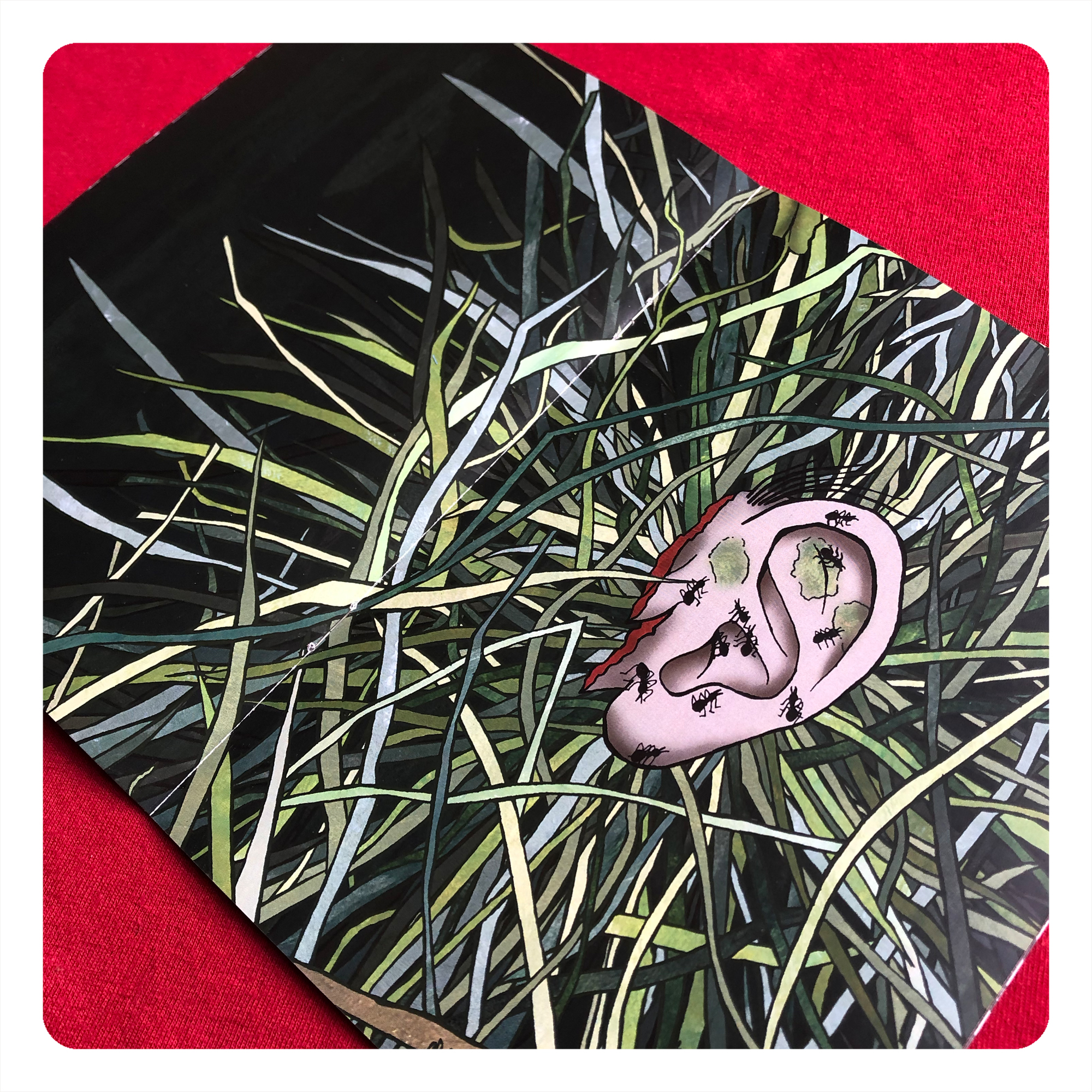 in dreams by chris cowdrill - human ear (blue velvet)