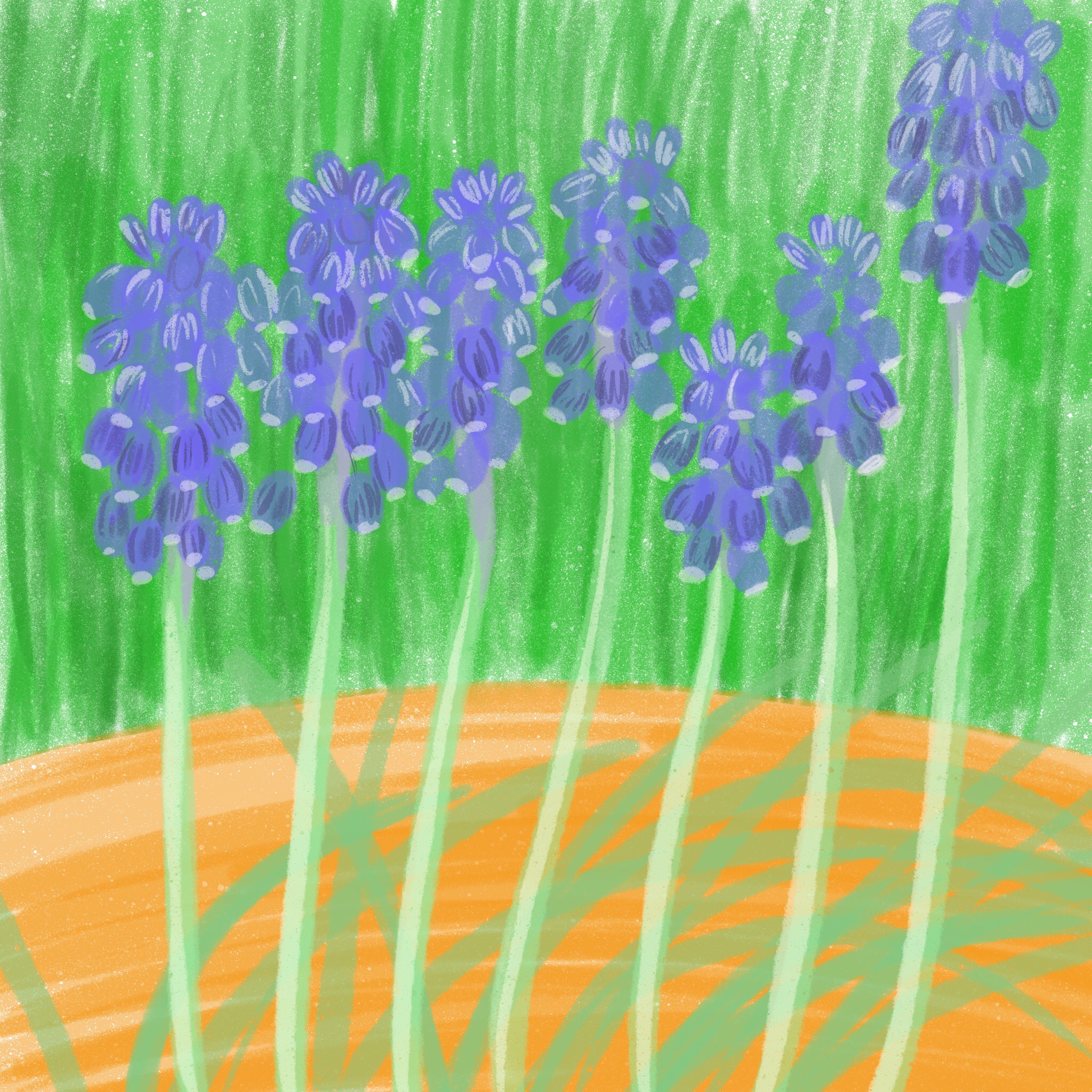 bluebells - ipad sketch by chris cowdrill
