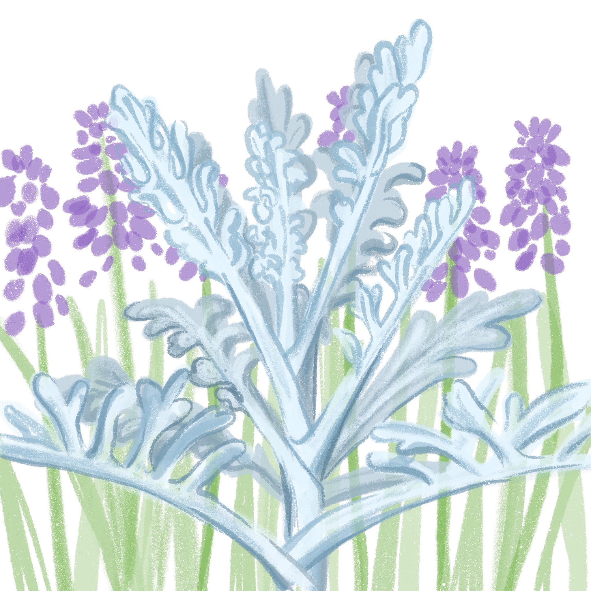 silver dust- ipad sketch by chris cowdrill