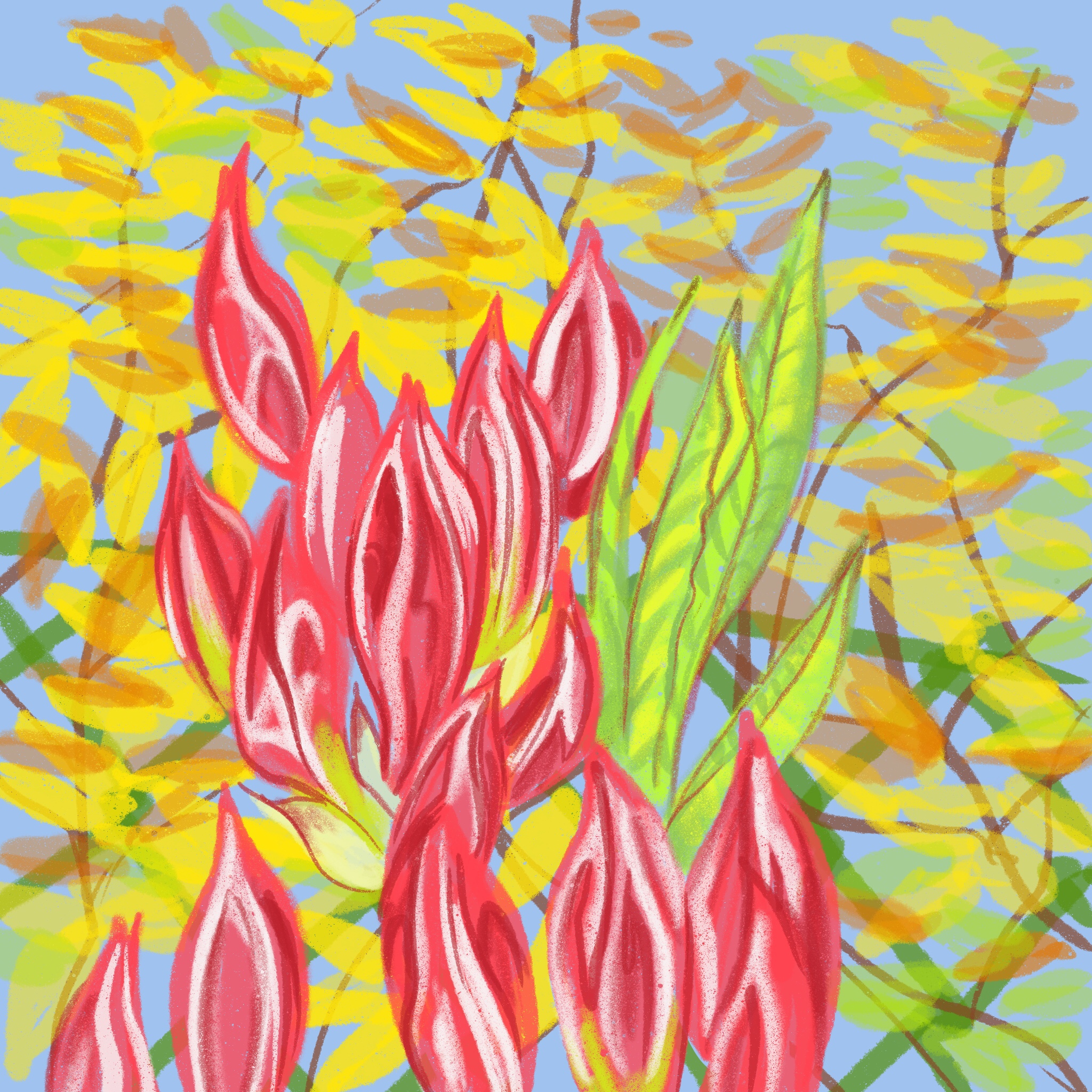 flower - ipad sketch by chris cowdrill
