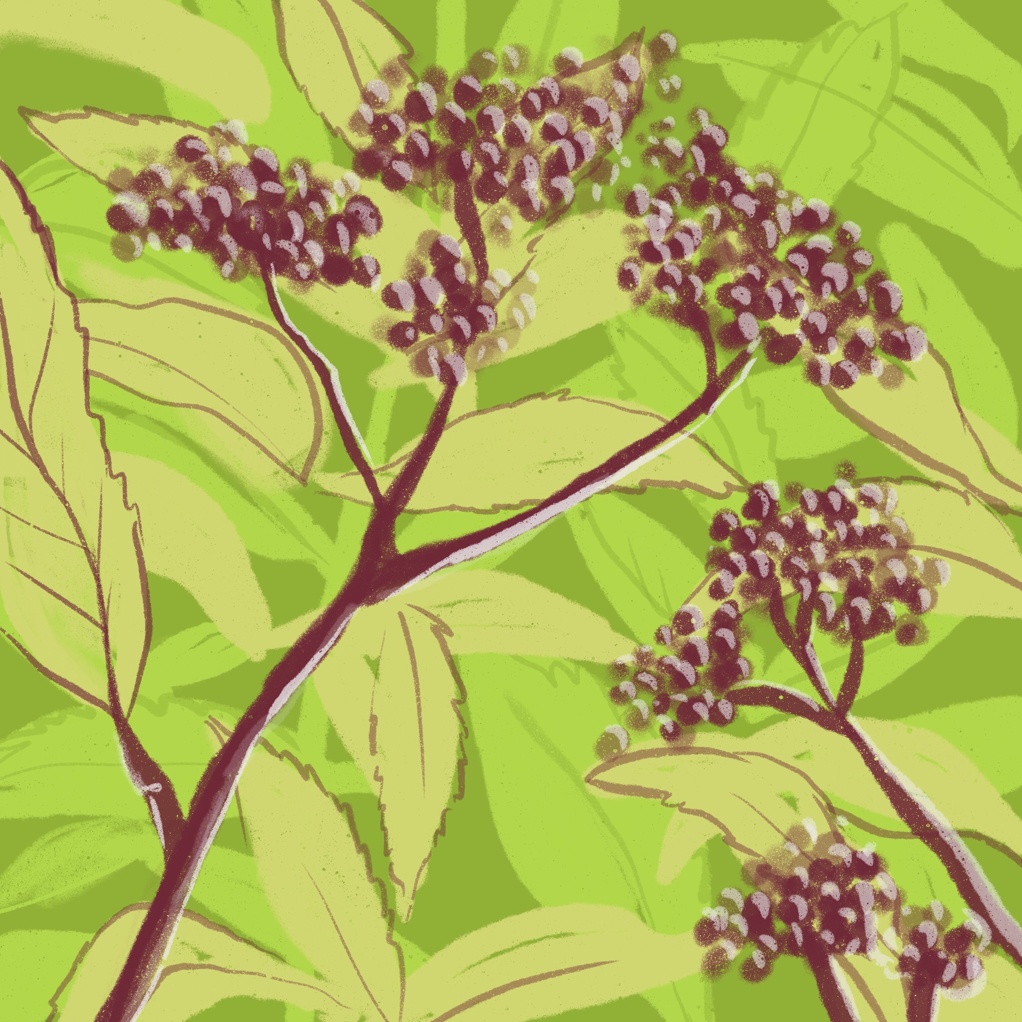 garden ipad sketch by chris cowdrill