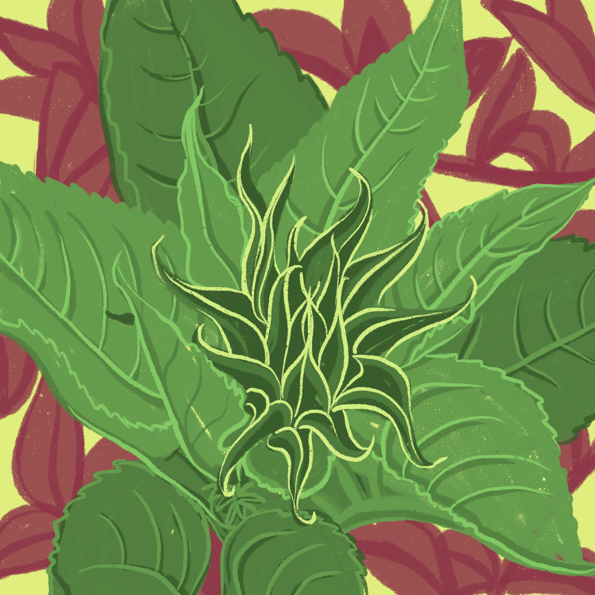 sunflower 1 - ipad sketch by chris cowdrill