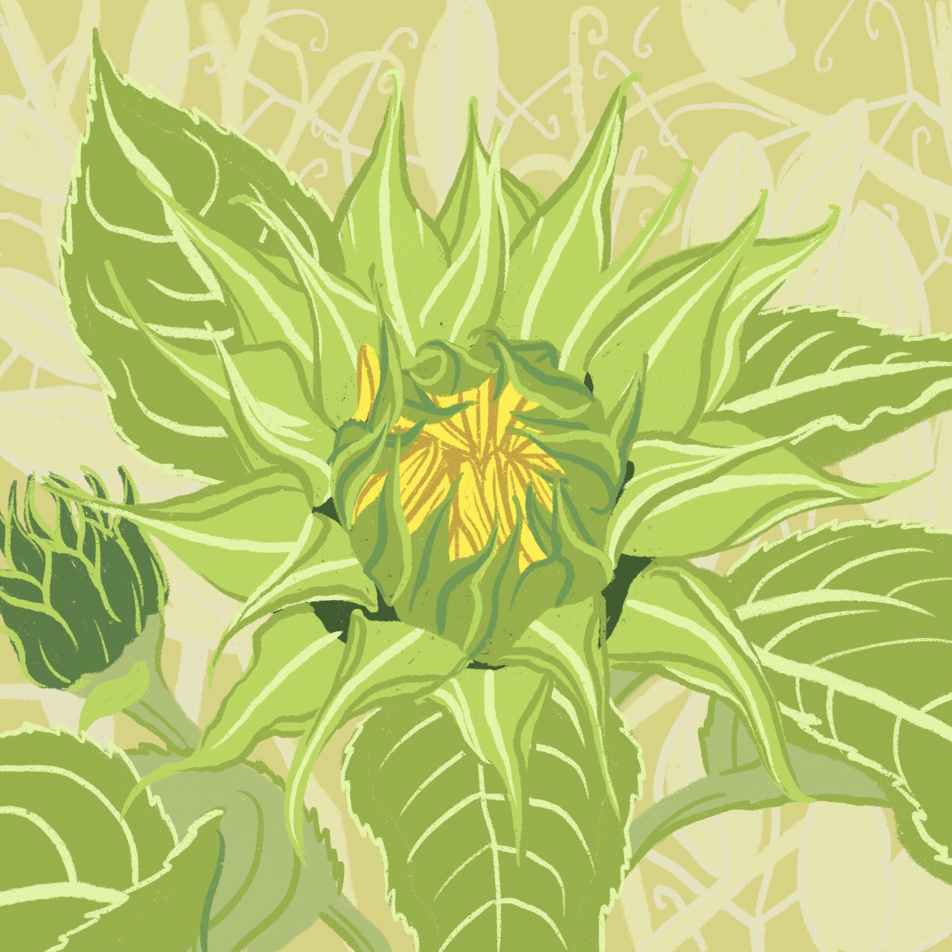 sunflower 2 - ipad sketch by chris cowdrill