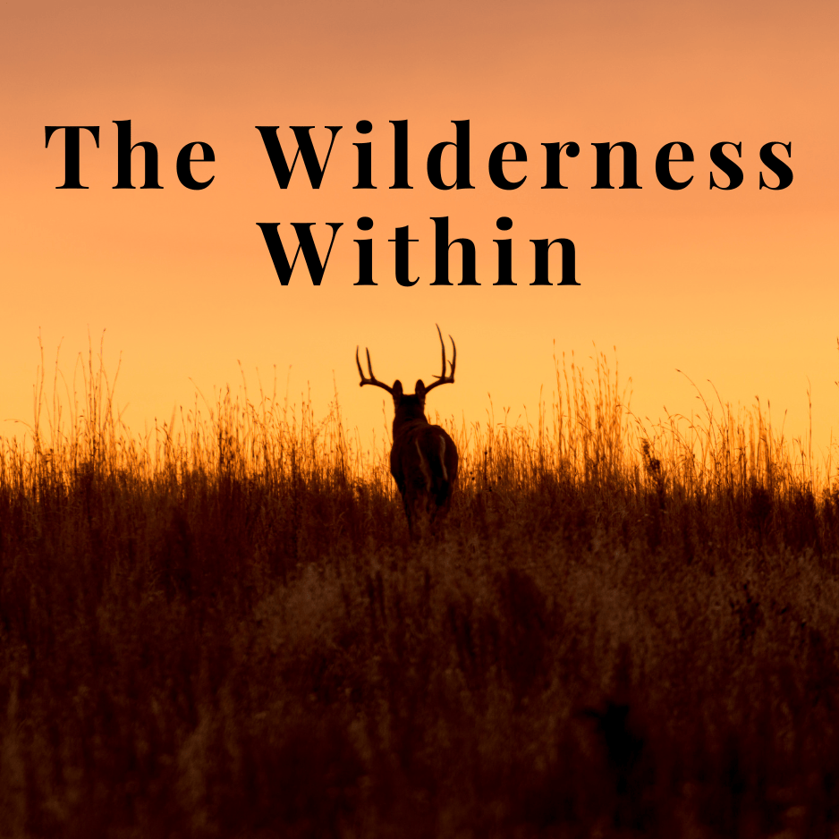 The Wilderness Within