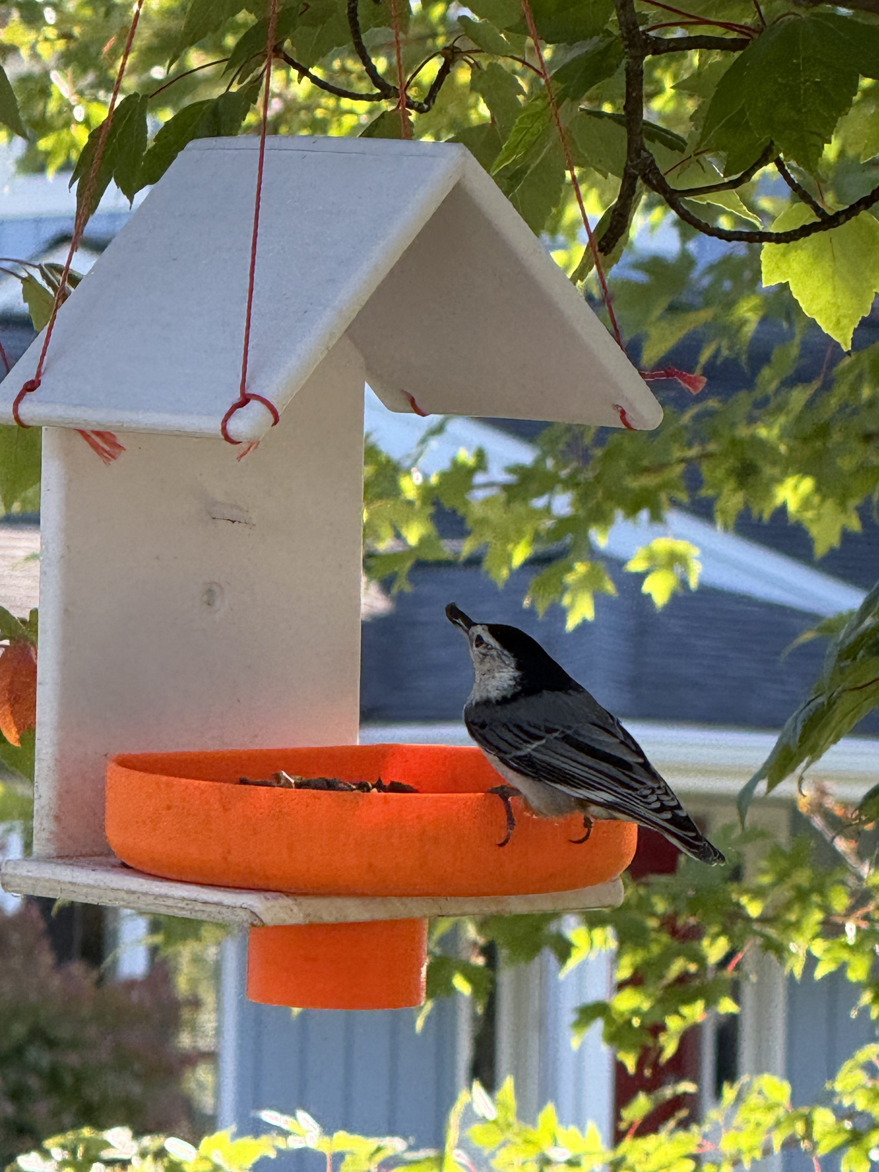 3D Printed Hanging Bird Feeder – Roofed Outdoor Feeder