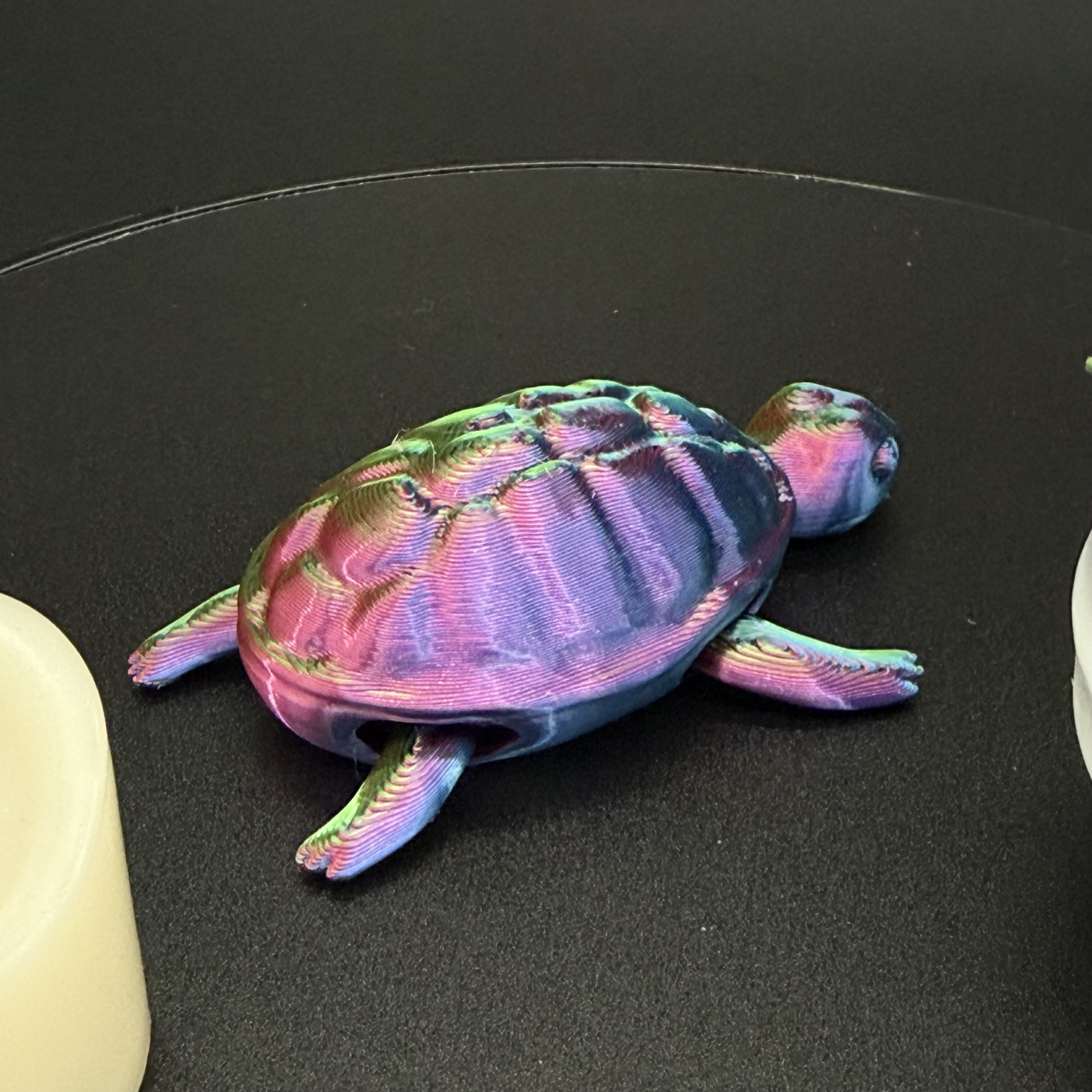 Flexi Turtle – Articulated 3D Printed Turtle
