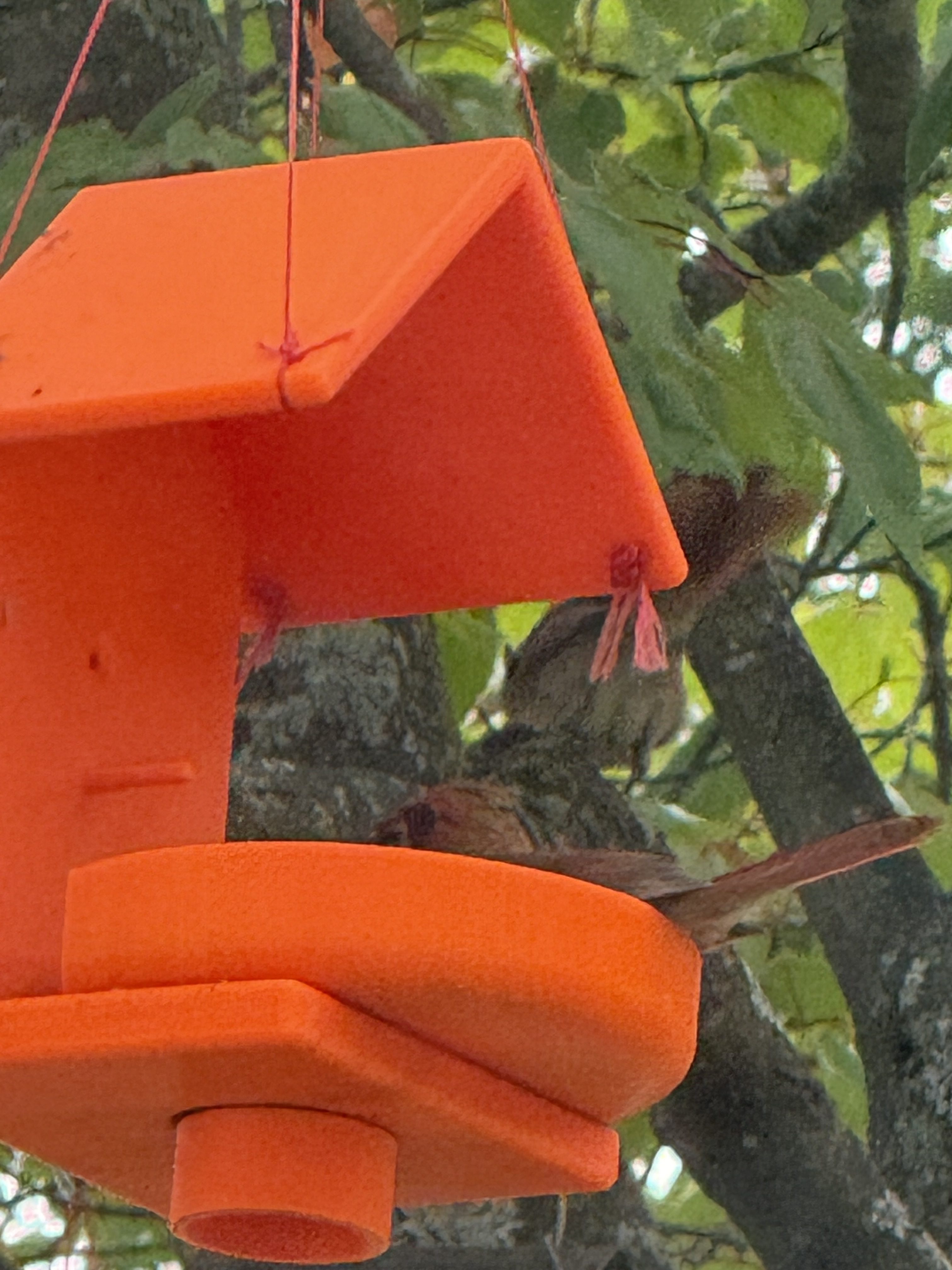3D Printed Hanging Bird Feeder – Roofed Outdoor Feeder