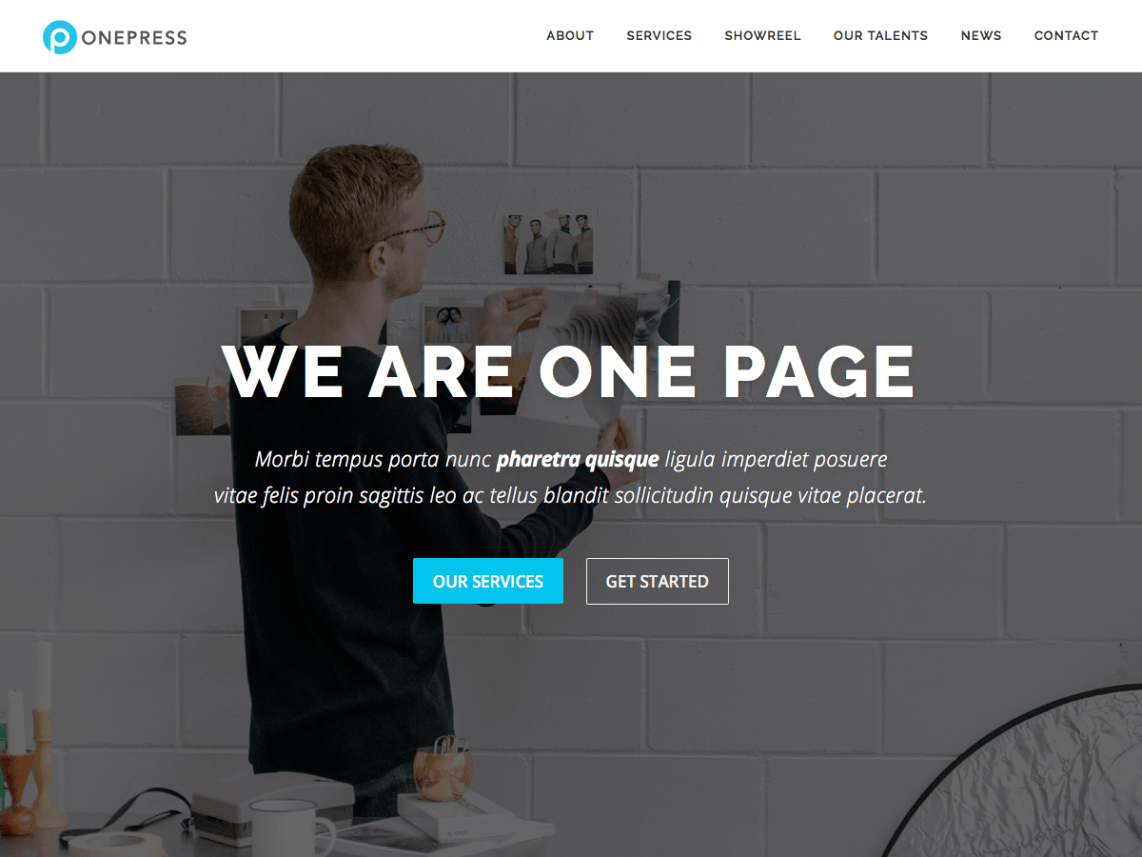 onepress wordpress theme