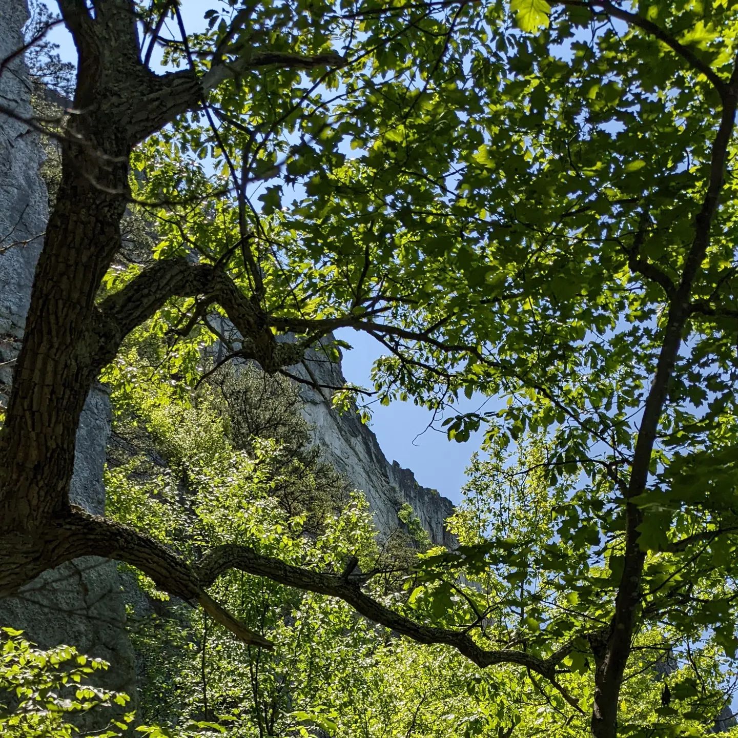 Seneca Rocks