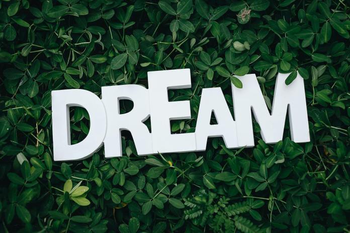 pexels-photo-1535907-1 dream text on green leaves