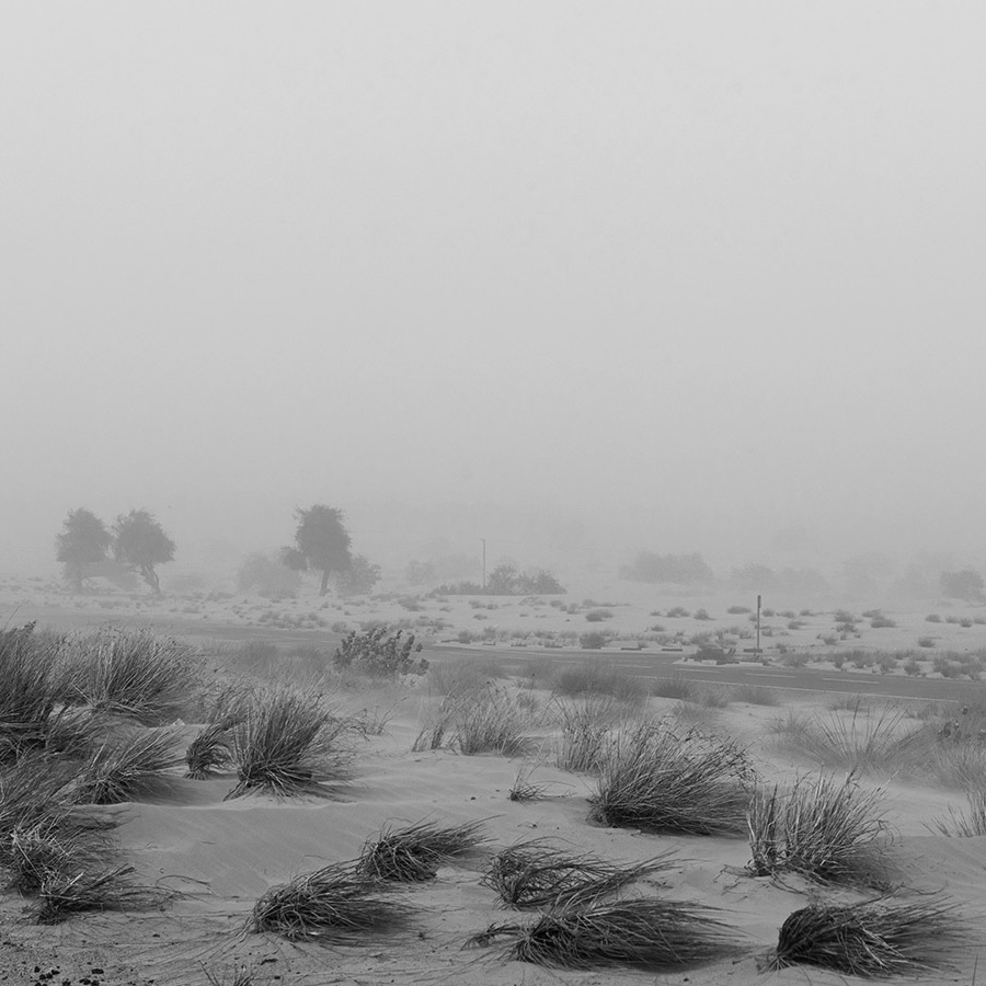 sand-storm081sq
