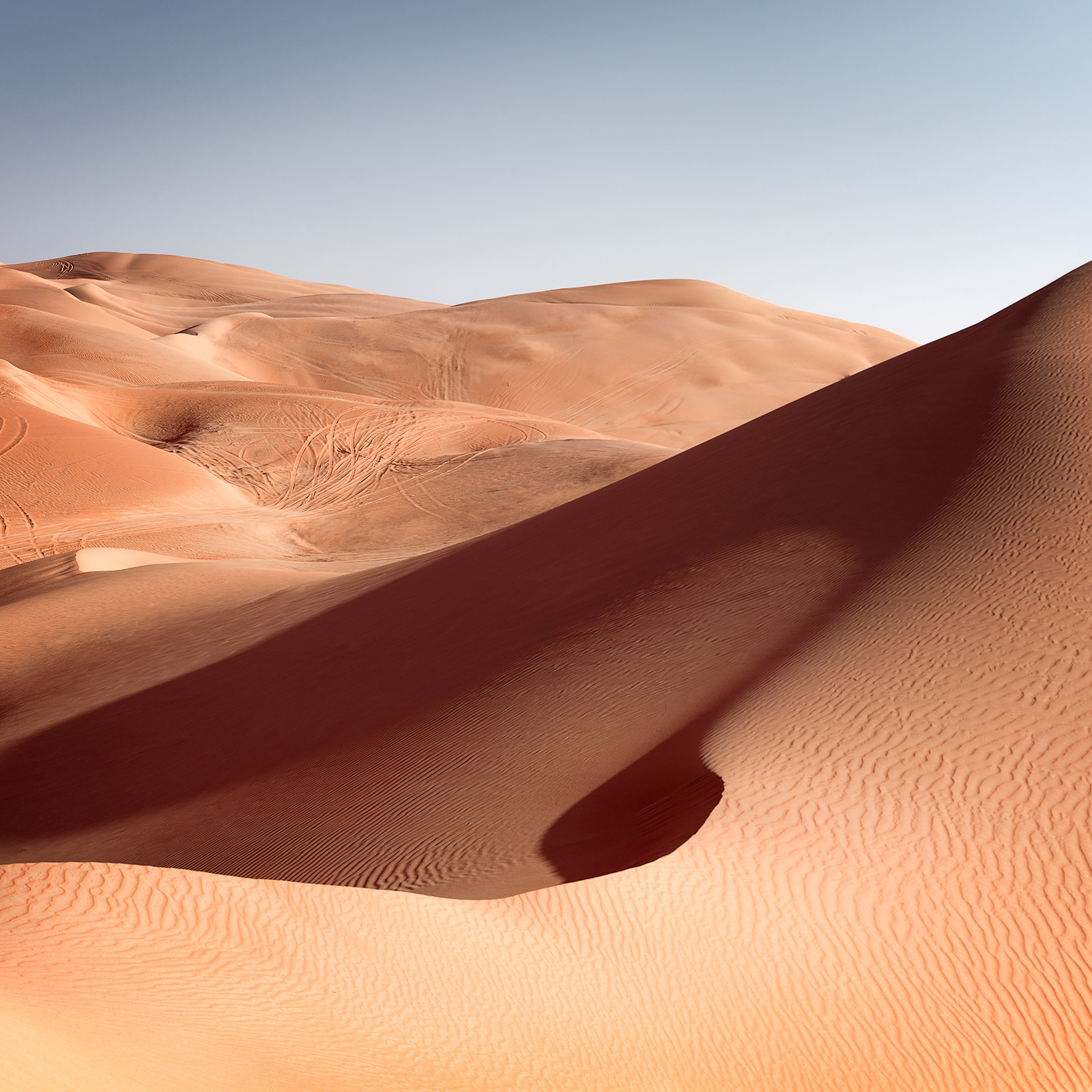 Liwa-Desert-07sharp