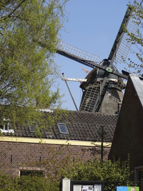 Dutch windmill