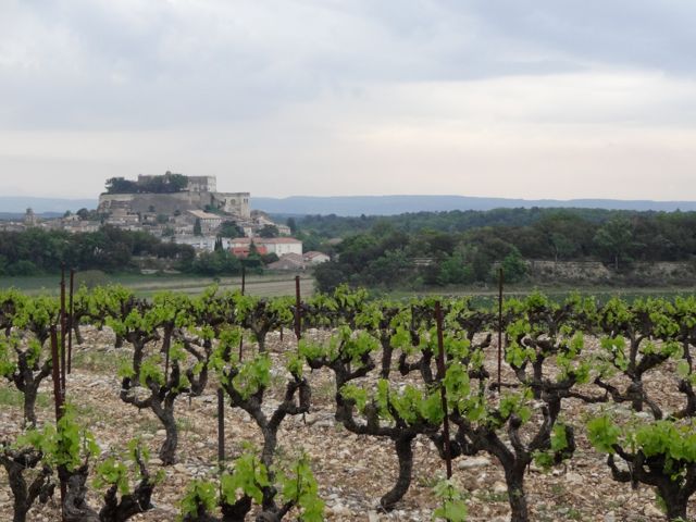 Vineyards infront of the old village of Grignan