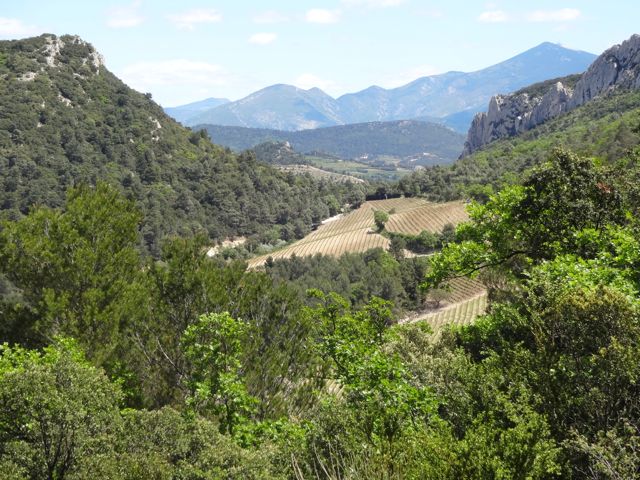 View of the mountains of Provence from the Dentelles de Montmirail