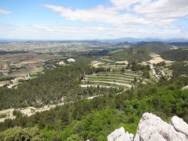 View of the Region from the Dentelles de Montmirail