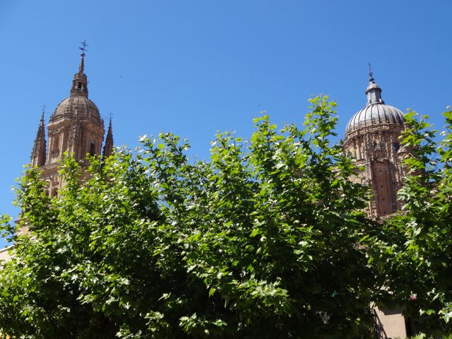 Catedral Nueva de la Asunción de la Virgen