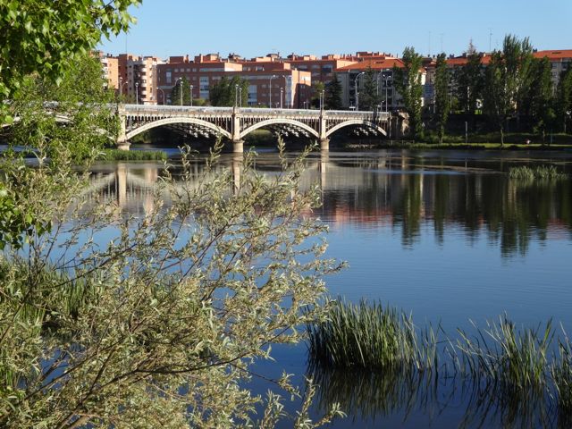Looking along the Rio Tormes