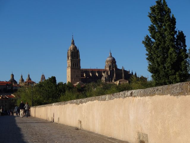 Catedral Nueva de la Asunción de la Virgen from Puente Romano