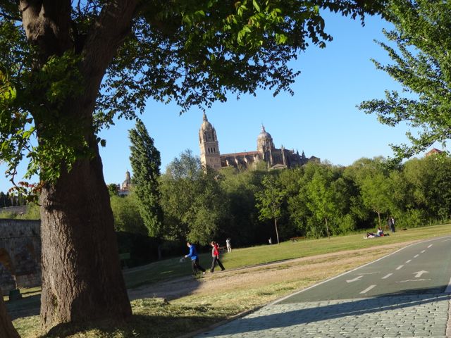 Catedral Nueva de la Asunción de la Virgen