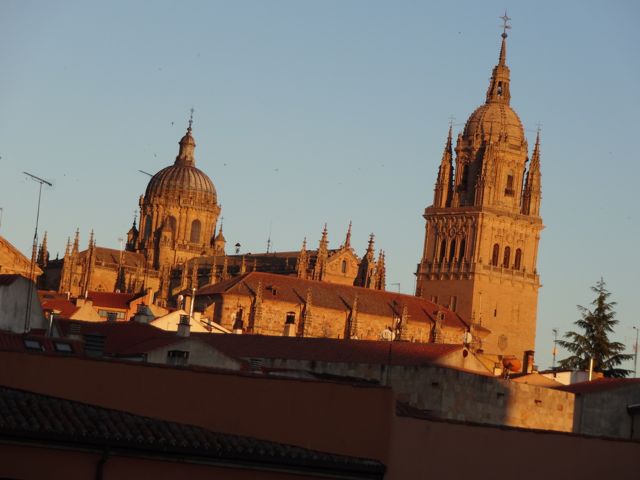 Catedral Nueva de la Asunción de la Virgen at sunset