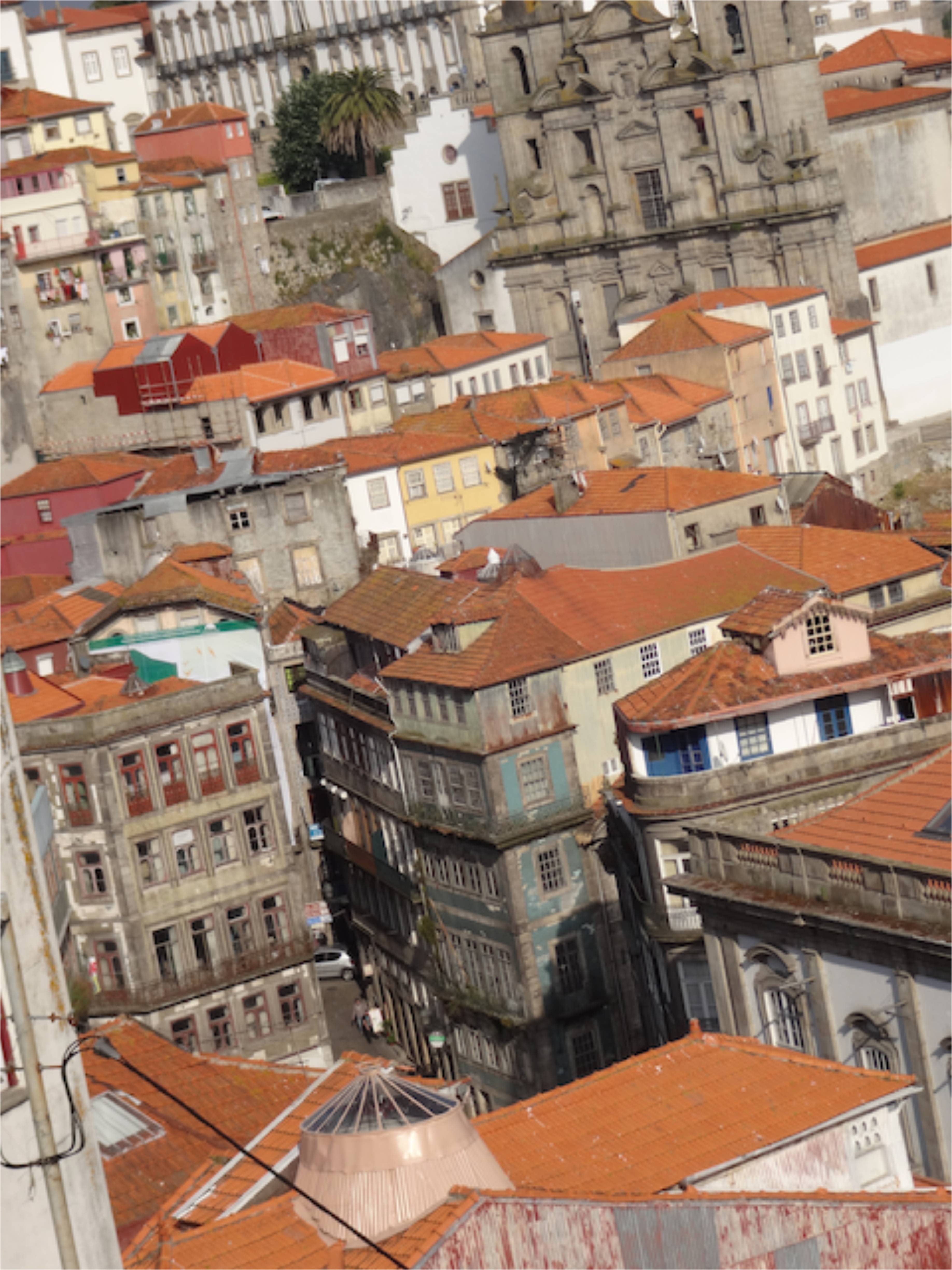 Oporto rooftops