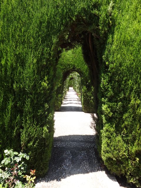 Lower Generalife Gardens