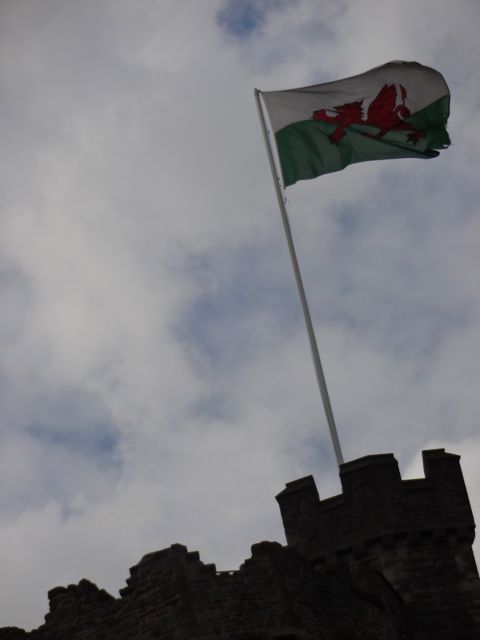 The Welsh flag