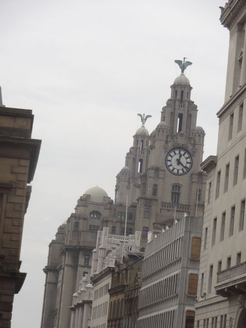 Downtown Liverpool - the Royal Liver Building