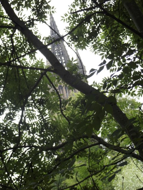 A view of the Glasgow University