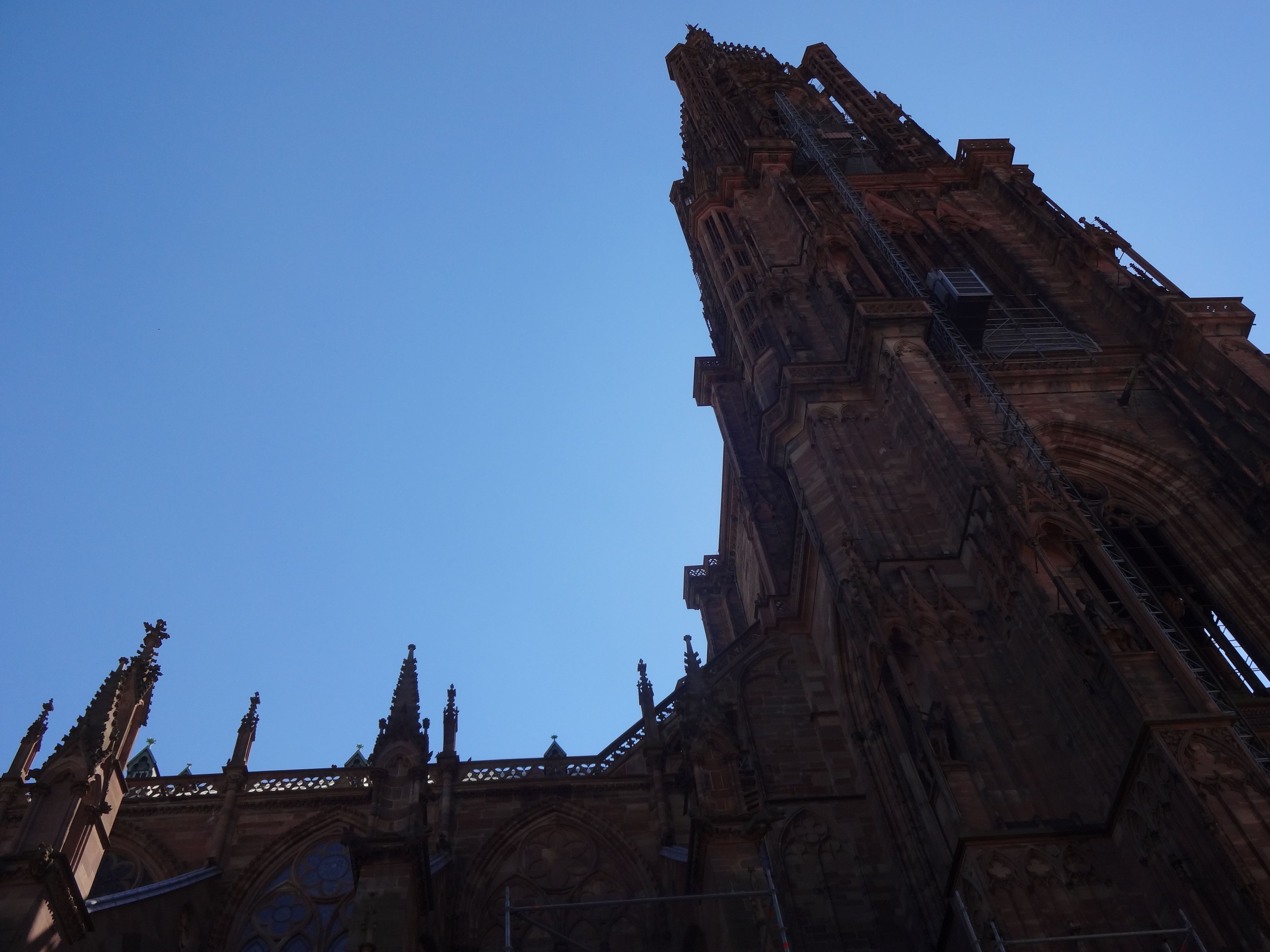 Cathédrale Notre Dame de Strasbourg