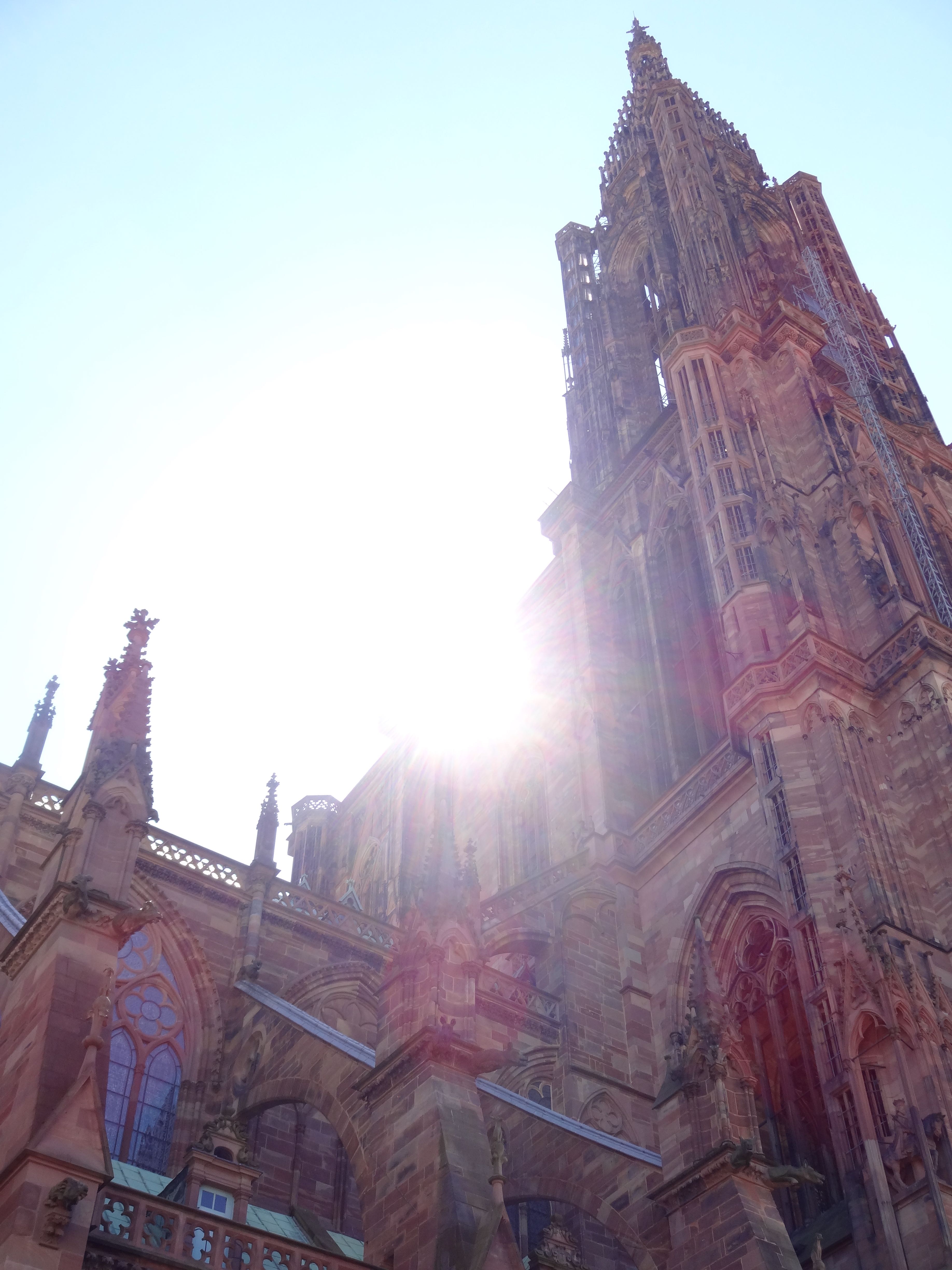 Cathédrale Notre Dame de Strasbourg