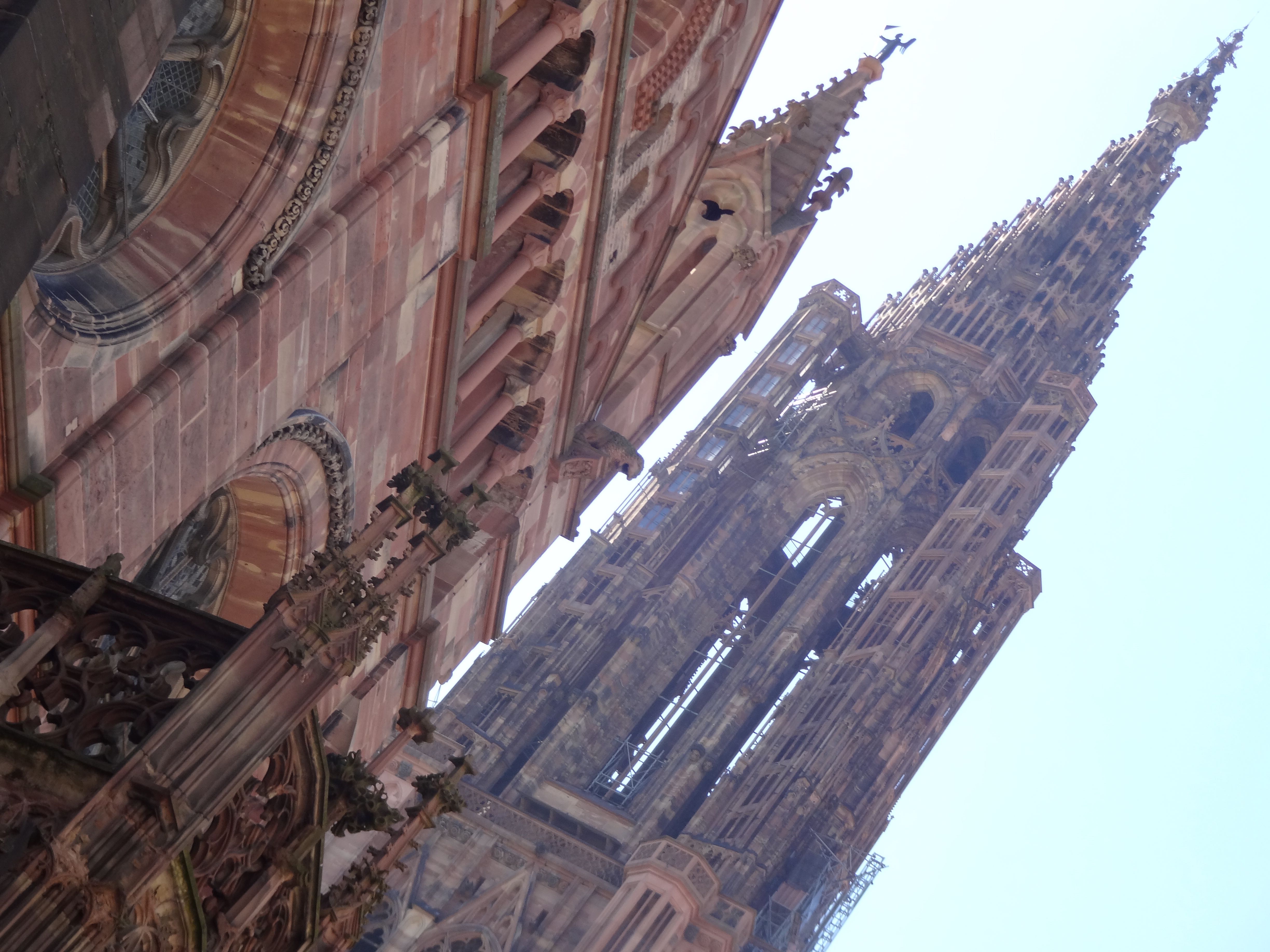 Cathédrale Notre Dame de Strasbourg