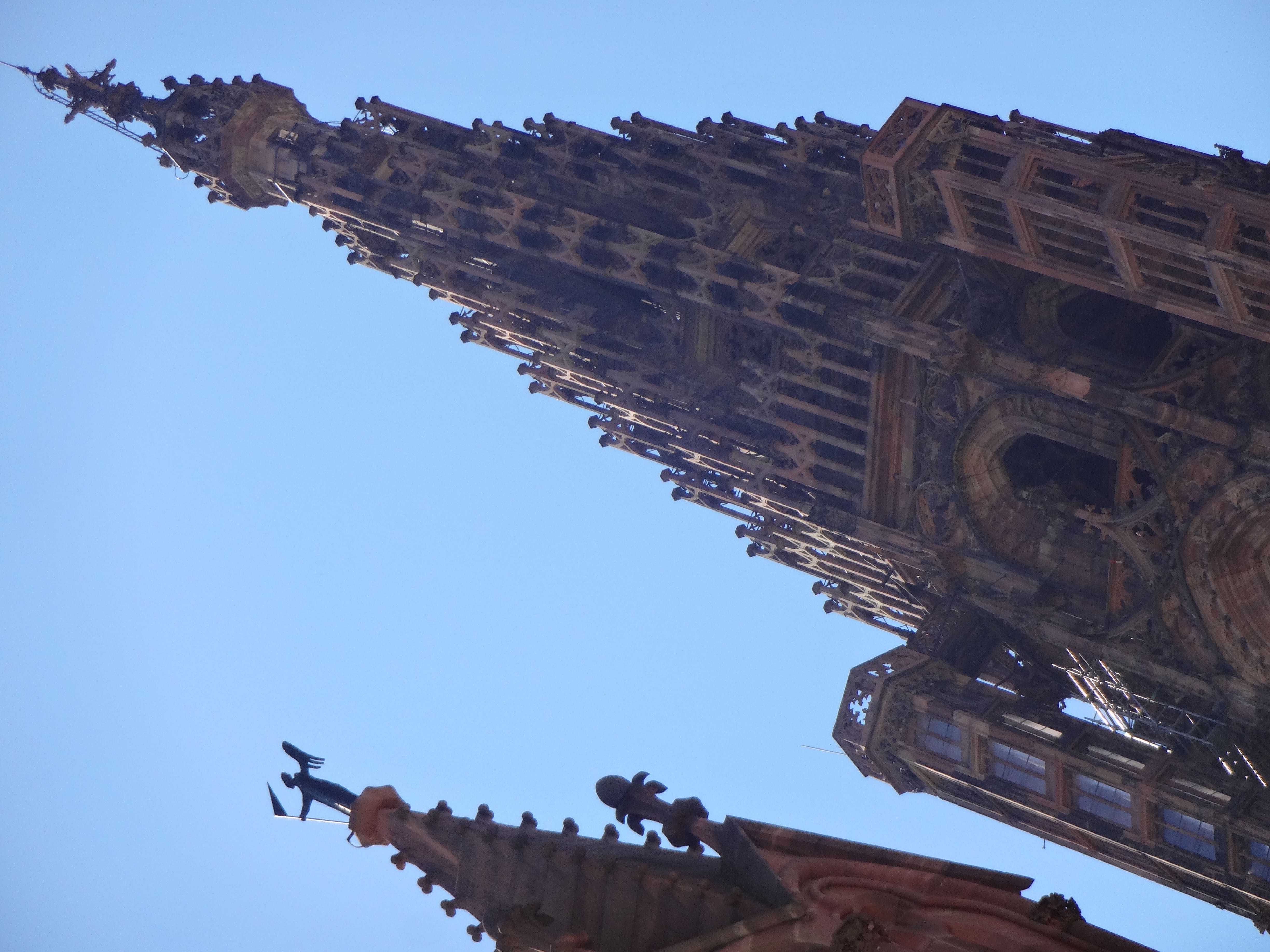 Cathédrale Notre Dame de Strasbourg