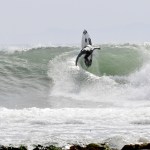 Rincon Surfing