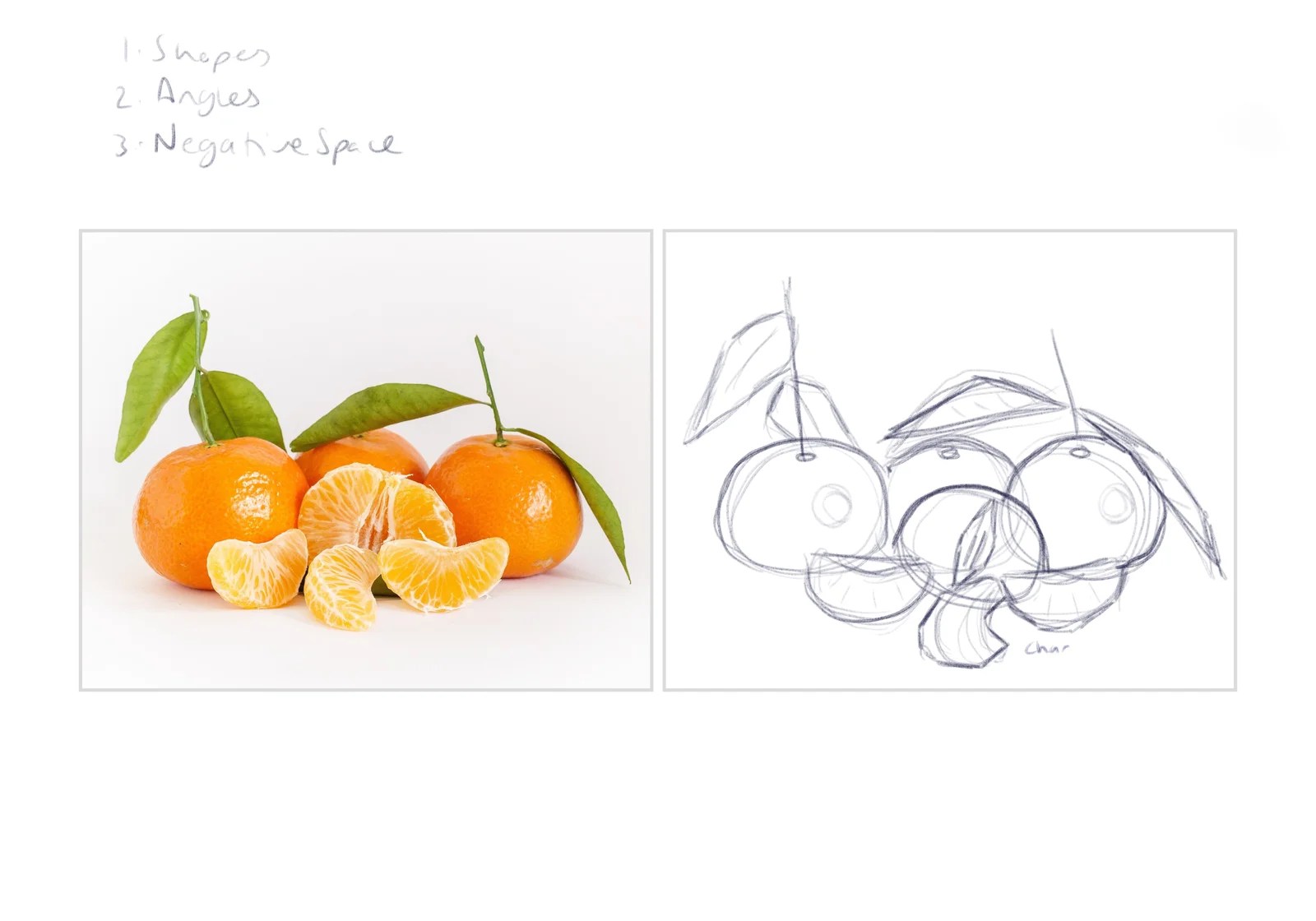 Sketch Anything from Procreate Summit