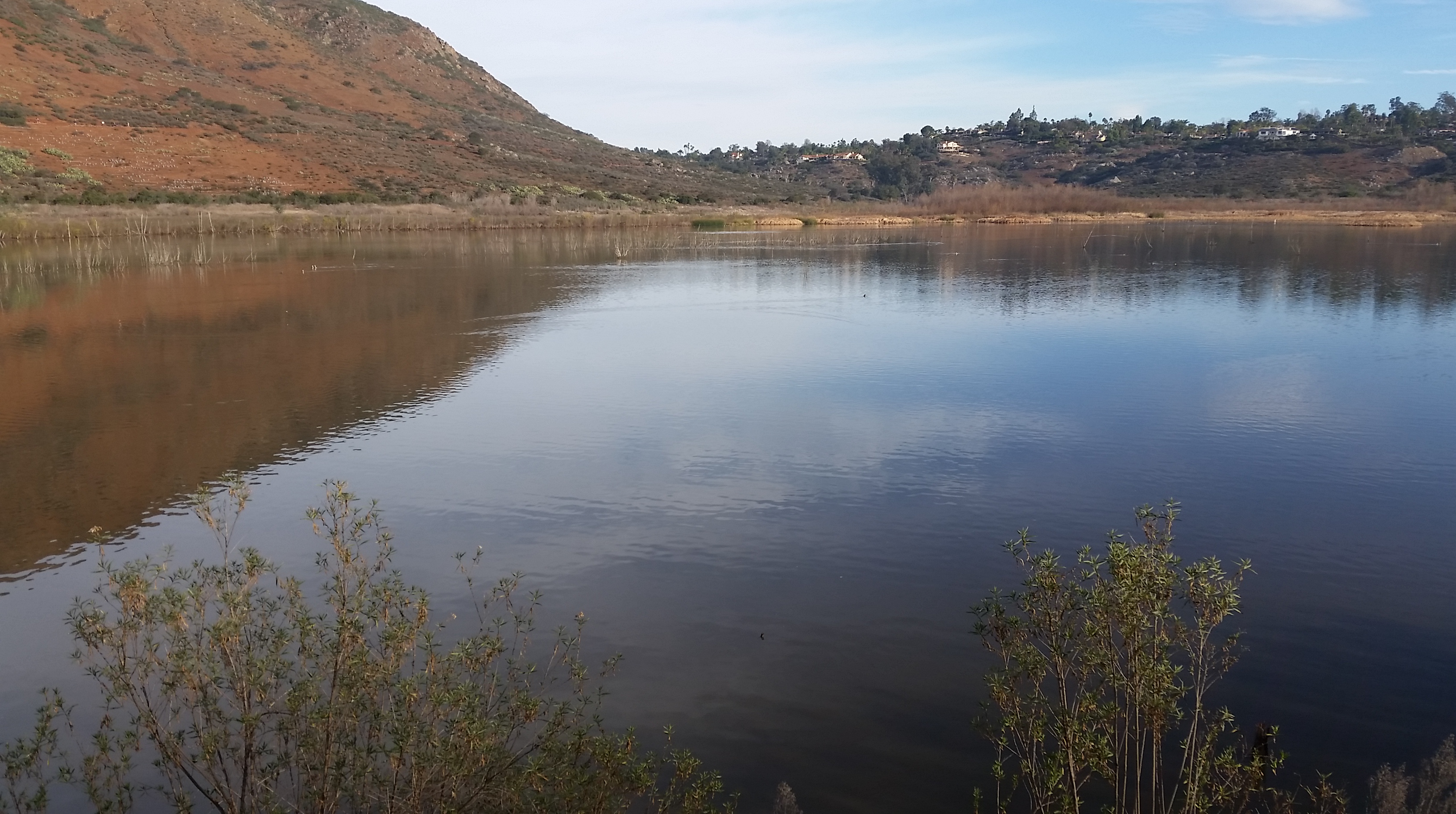 20160116_083155.jpg