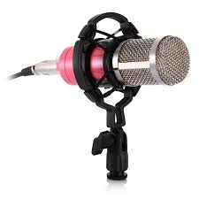 mic