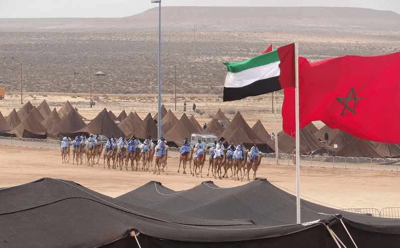 أمكار الطنطان” يقصي صحفيي المدينة، ويستقطب من هب ودب بميزانية ضخمة