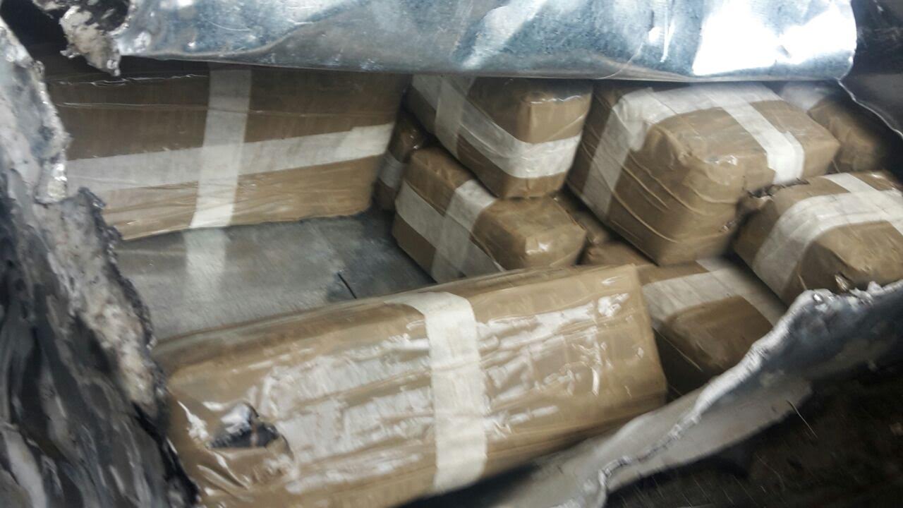 شبكة مختصة في التهريب الدولي للمخدرات.. توقيف 6 أشخاص وضبط 1600 كيلوغرام من الشيرا بالدار البيضاء وضواحيها